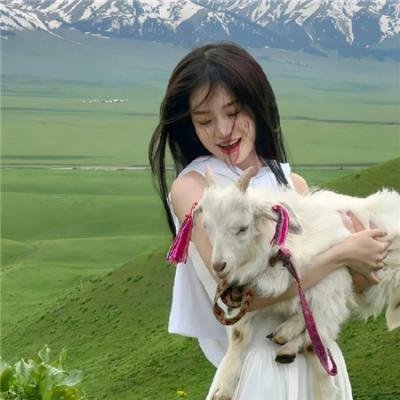 威尔科克斯生存记
